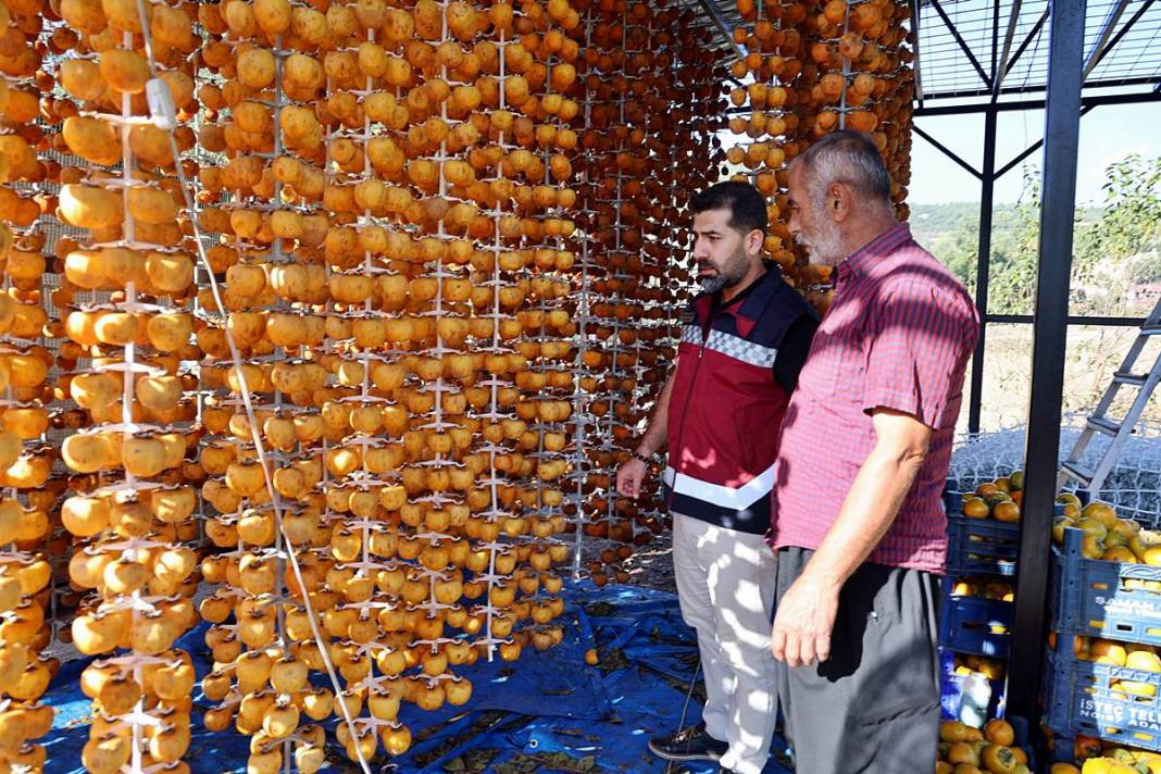 Bu meyvenin yaş kilosu 20 TL, kuru kilosu 200 TL! O köyün en büyük geçim kaynağı 5